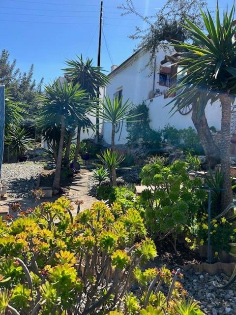 Casa Patzu Holiday home *