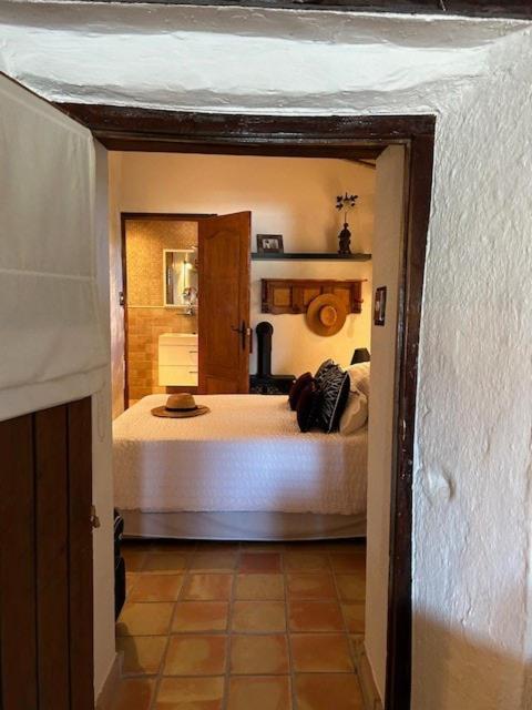 Casa Patzu * Malaga